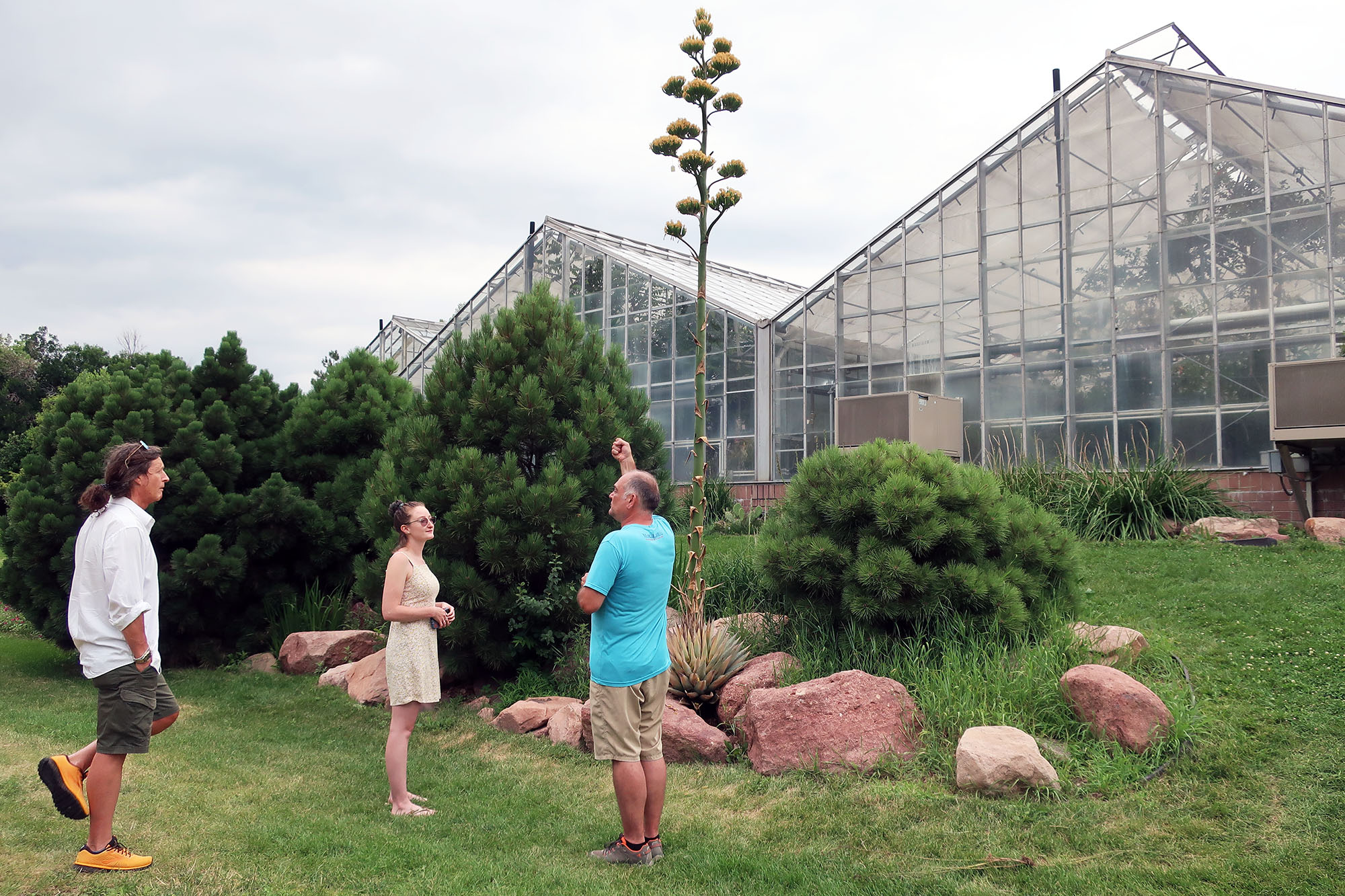 Colorado's summer blooms bring more than wildflowers | Colorado Public Radio - Vimarsana News