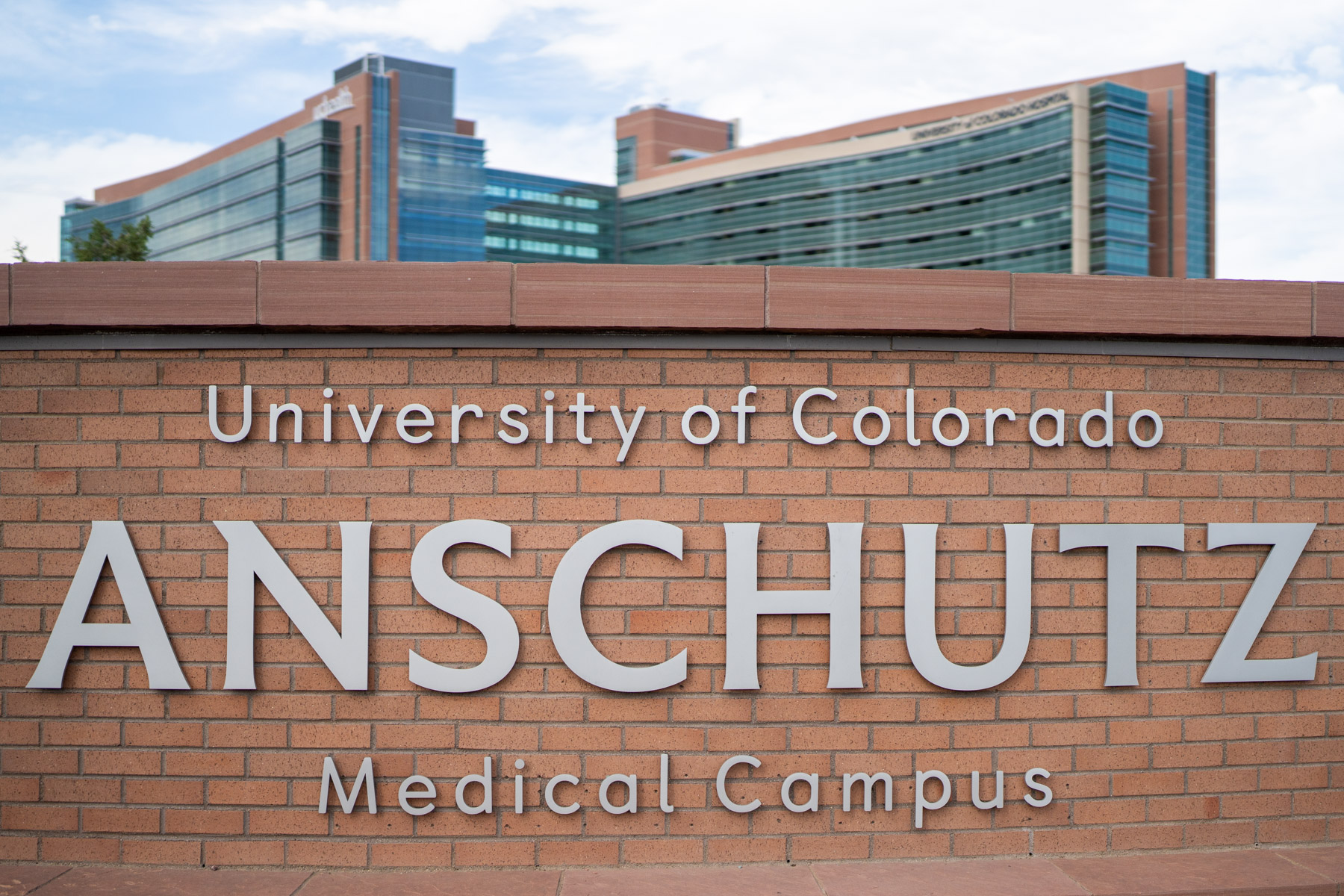Like wind on a campfire, respiratory viruses can reignite the flames of cancer, new CU Anschutz study finds