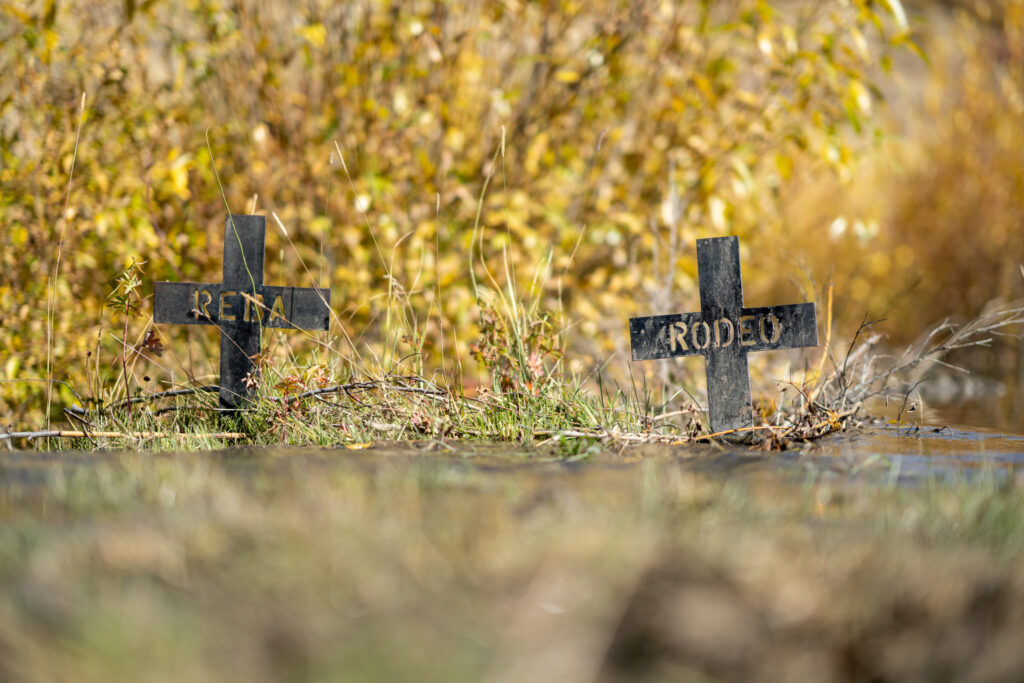 A Colorado rodeo legend clinches one more title his name in the