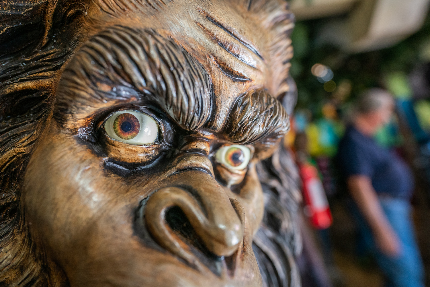 Bigfoot — do you believe? One Colorado museum wants to know Colorado Public Radio