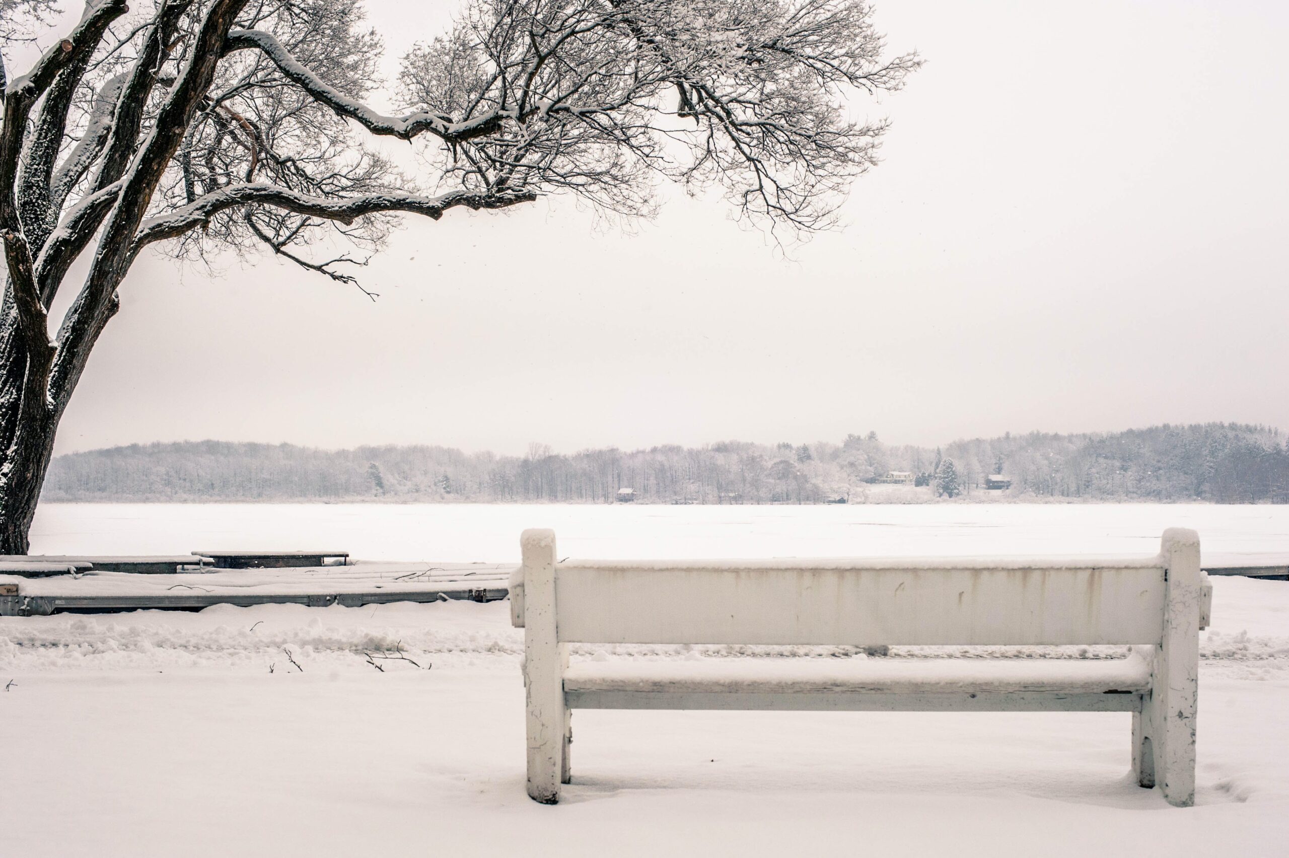 How to deal with grief and loneliness during the holiday season - Vimarsana News