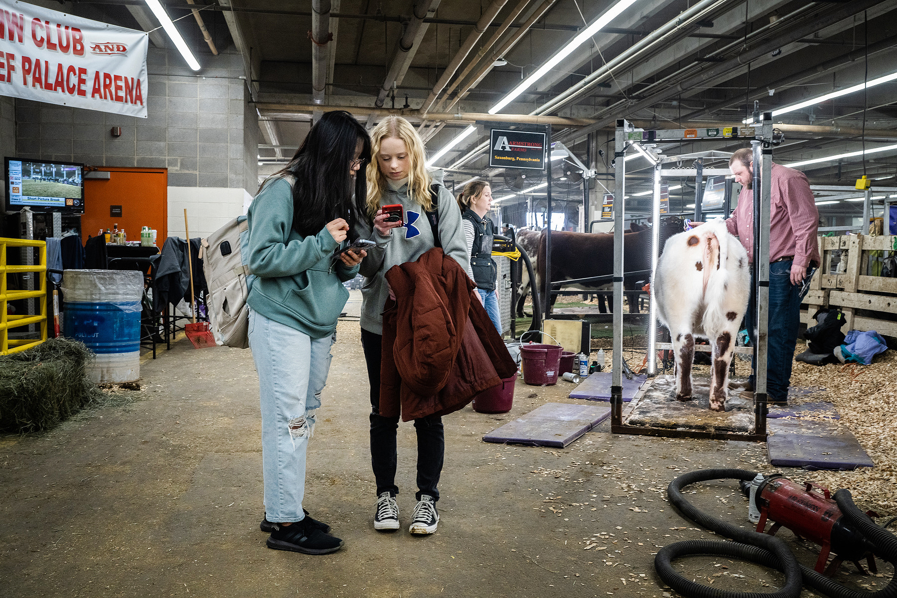 What happens when students are let loose at the stock show and a farm to learn by themselves? - Vimarsana News