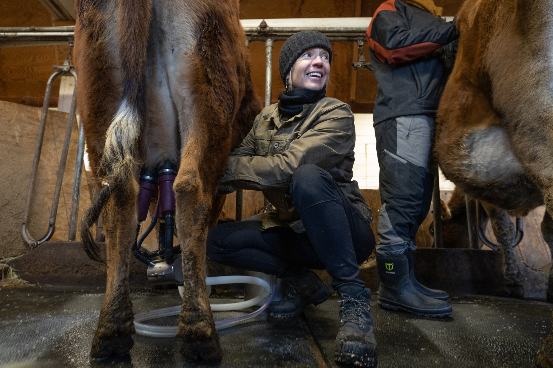 Avian flu concerns sink raw milk legalization bill at Colorado legislature