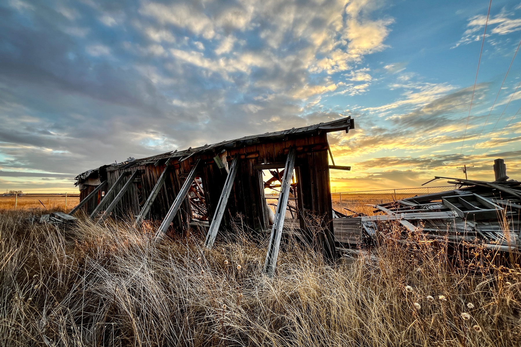 Dearfield – a refuge for Black homesteaders in the 1900s – could become part of the National Park Service - Vimarsana News