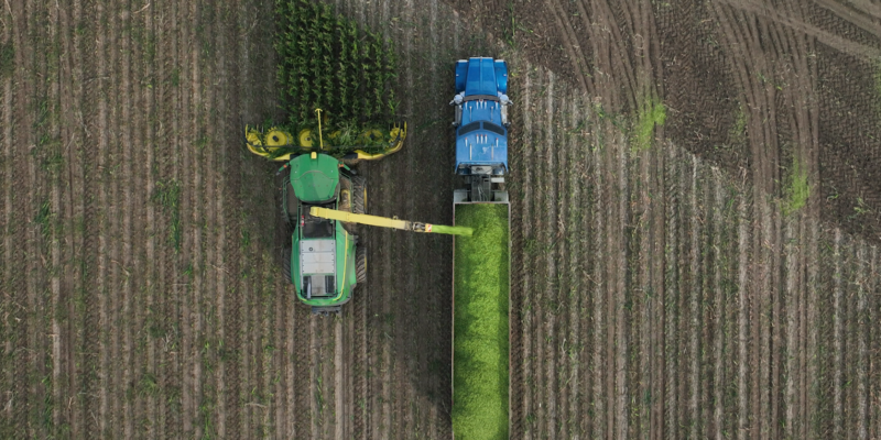 New documentary explores agricultural life and challenges through the lens of a Pueblo farming community - Vimarsana News