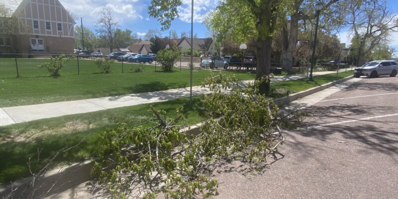 Thousands without power in Colorado Springs as wind downs power lines and sparks fires - Vimarsana News