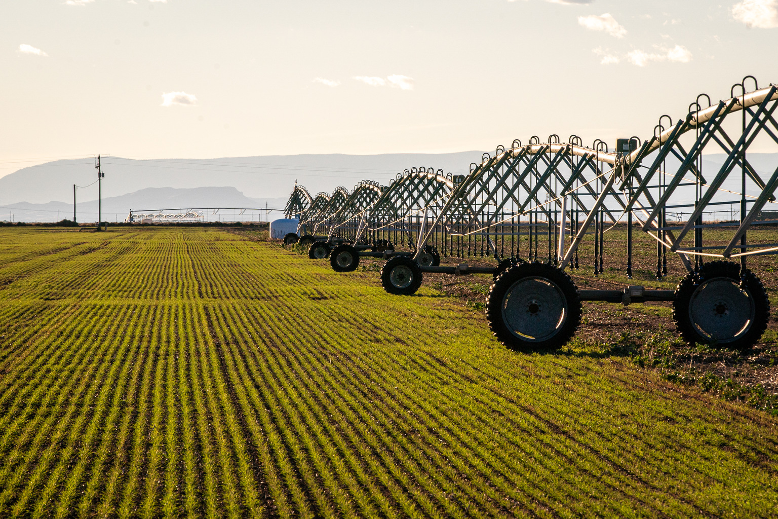 Unsettle Farming System Example The new Farm Bill extension provides some relief for Colorado producers ...