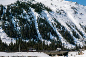 20250407-snowpack-loveland-