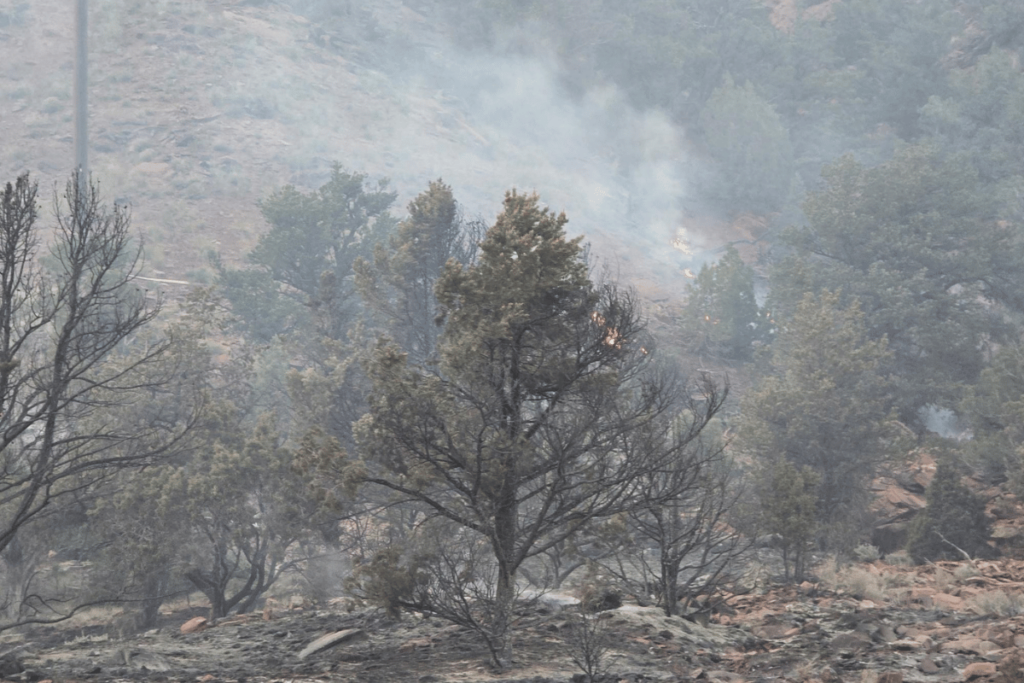 A wildfire burning in a mountainous area, with thick smoke billowing from the top of a tree. The landscape is rugged with rocky terrain and sparse vegetation.