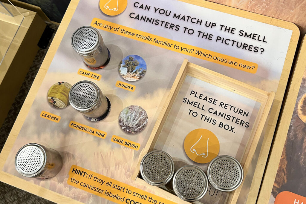Photo shows an interactive portion of the exhibit six silver metal canisters to smell at the Pioneers Museum in Colorado Springs elevating Ute culture and history.