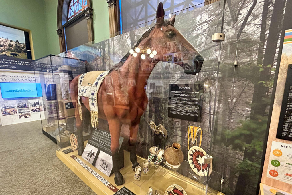 A lifesize brown horse and other Native American artifacts on display at the Pioneers Museum in Colorado Springs elevating Ute culture and history.
