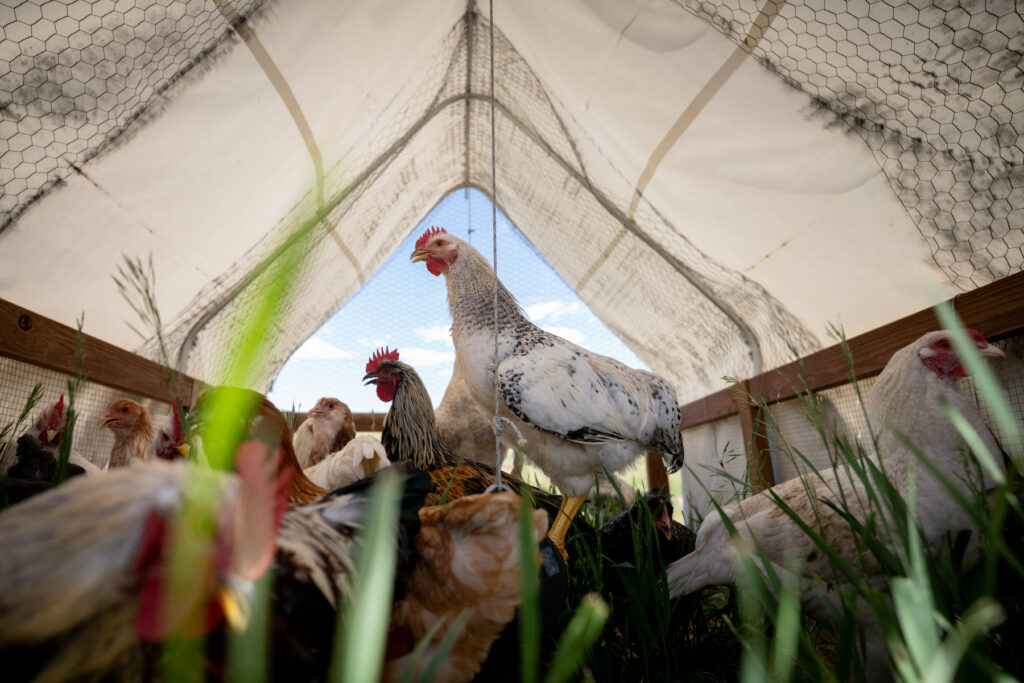 AG FUNDING WESTERN STATES