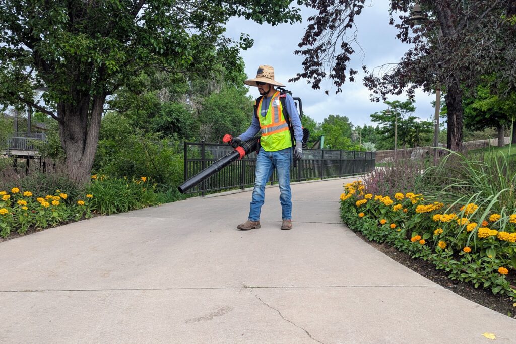 A landscaper clears a sidewalk with an electric leafblower.