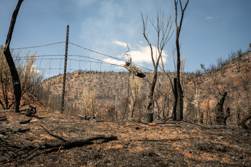 LEE FIRE MEEKER