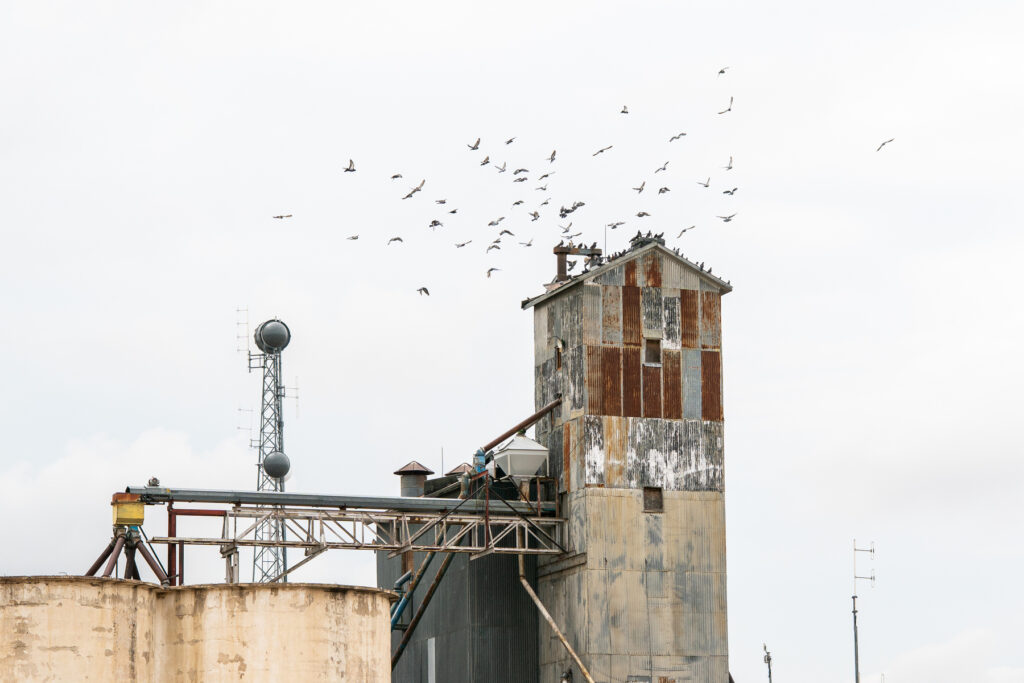 PROSPECT DAIRY KEENESBURG