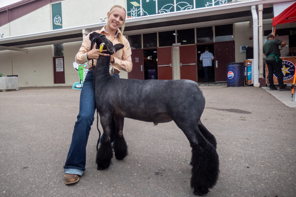 a young person shows off her dark colored lamb