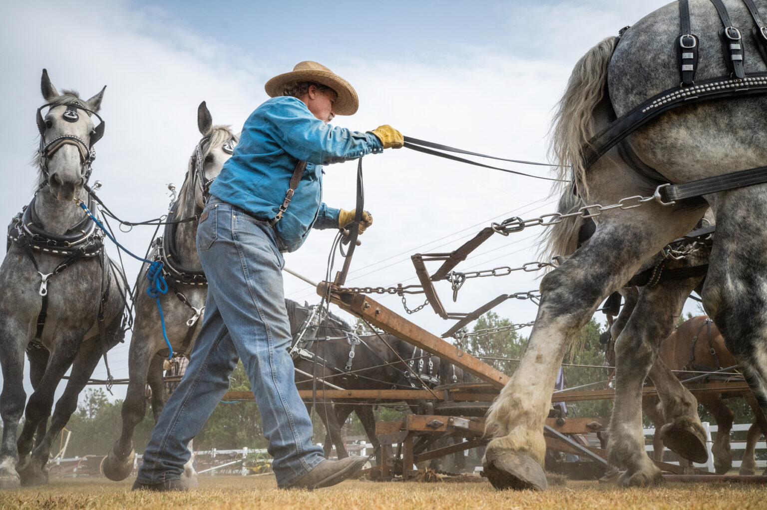 High Plains farming history comes alive again at Yuma's Old Threshers