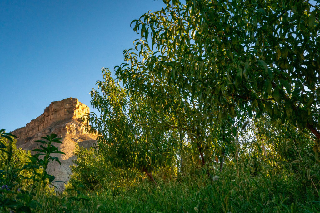 LAND-TRUST-PALISADE-20250908