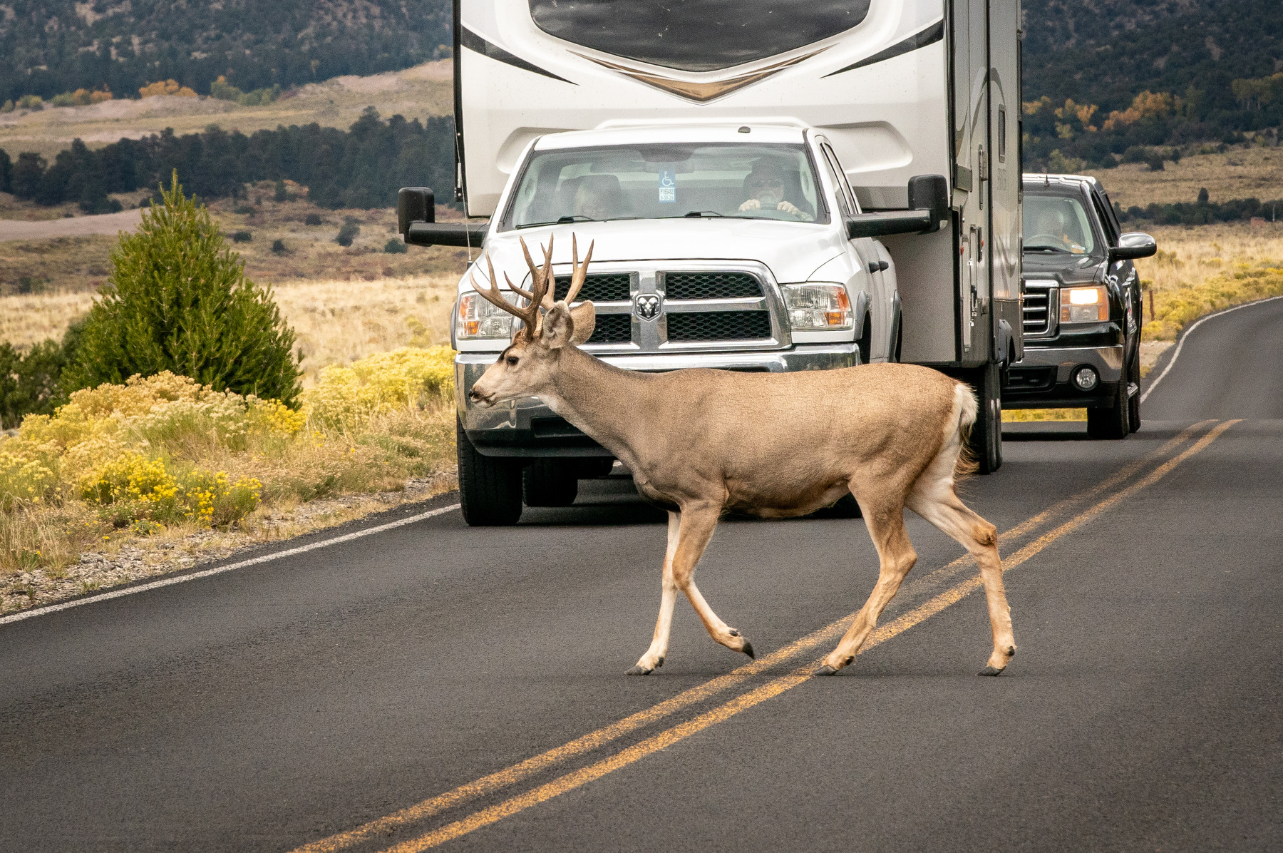 What’s going on at national parks in Colorado during the shutdown?