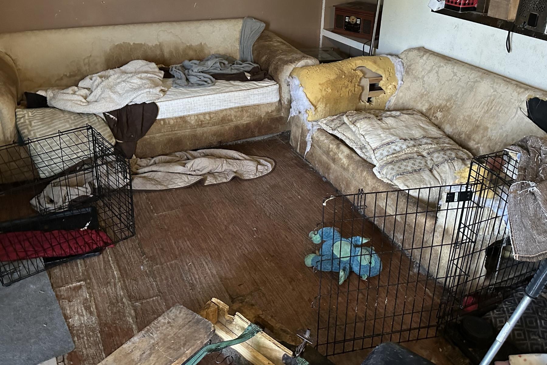 Northglenn residents charged with more than 100 counts of animal cruelty