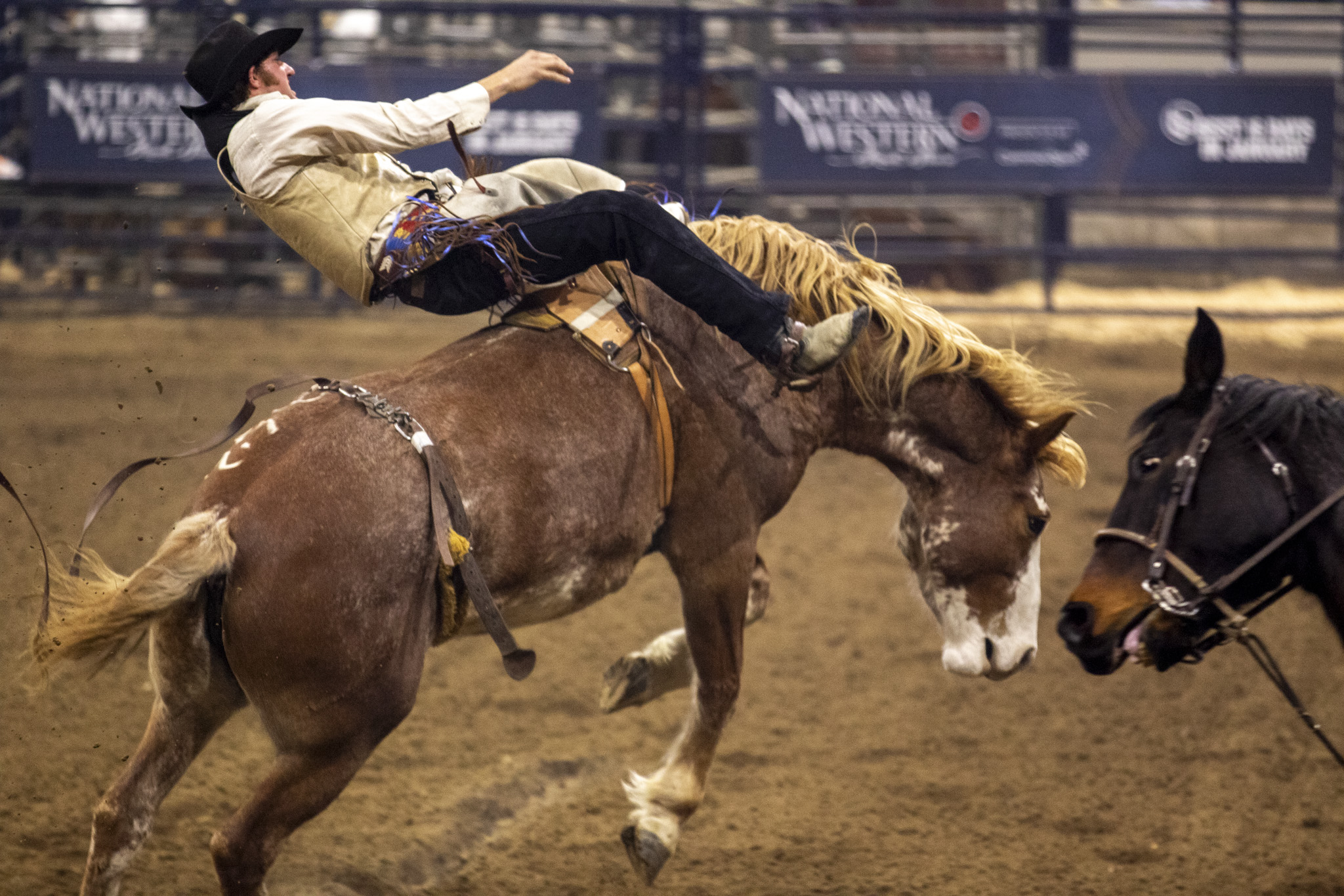 As pro rodeo considers moving HQ to Wyoming, conservative lawmakers question incentives