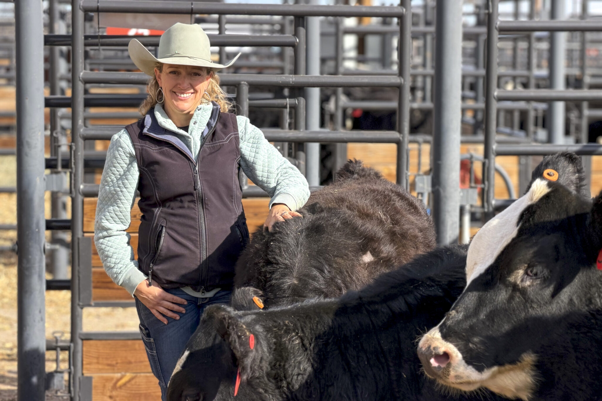 Ranchers pack the pens of the National Western Stock Show to take advantage of historic cattle prices