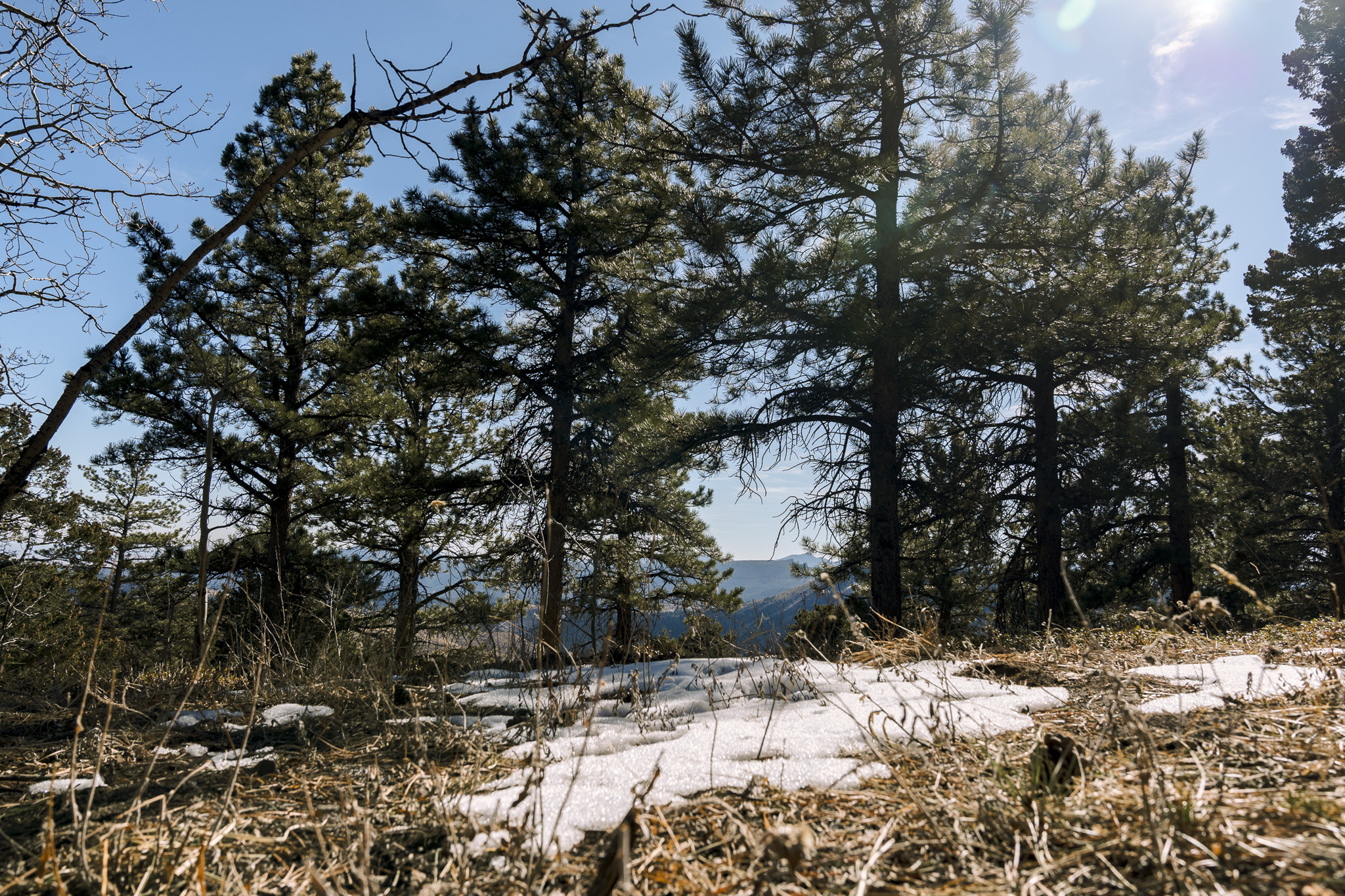 Record snow drought in the West, including Colorado, raises concern of water shortages and wildfires