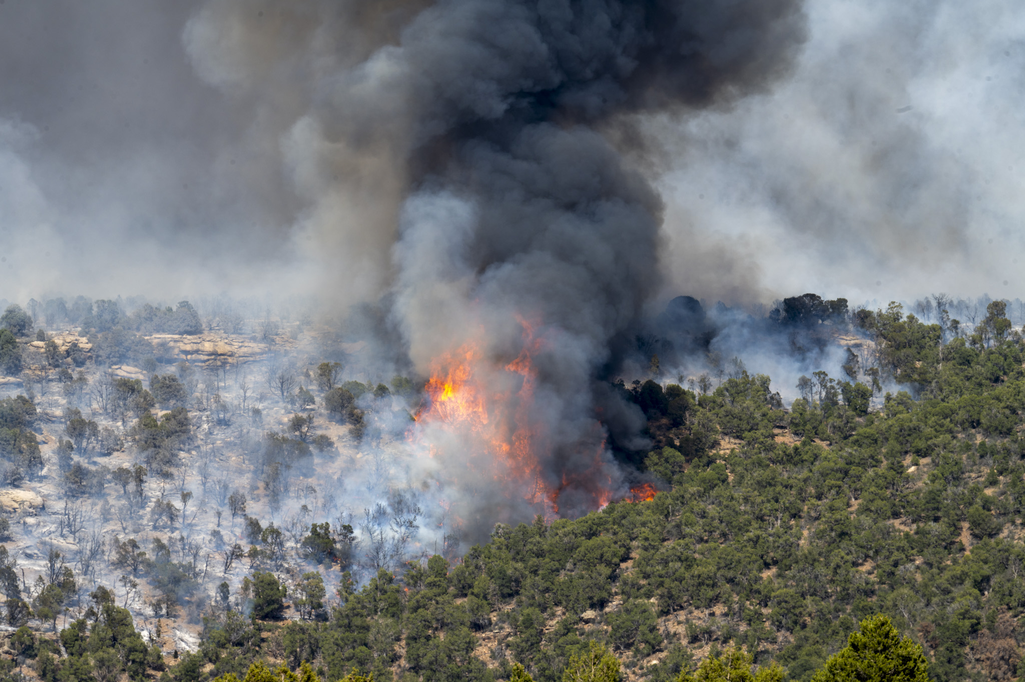 Ferris fire: Fire forces late-night evacuations in southwest Colorado
