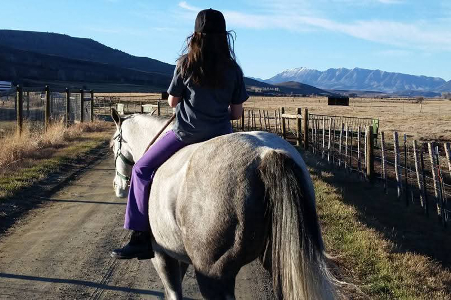 Preparation is critical to safely evacuating horses and other livestock during a wildfire, tips from CSU veterinarians